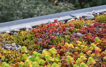the cost of Blurton green roof installation