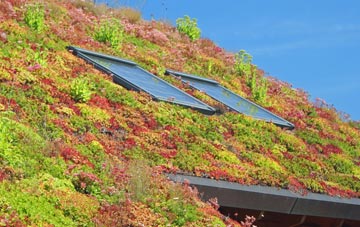 Blurton living roof systems